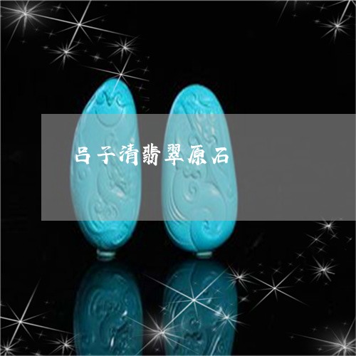 吕子清翡翠原石/2023040420572 吕子清翡翠原石/2023040420572