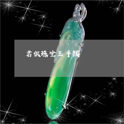 君佩珠宝玉手镯/2023040439281 君佩珠宝玉手镯/2023040439281