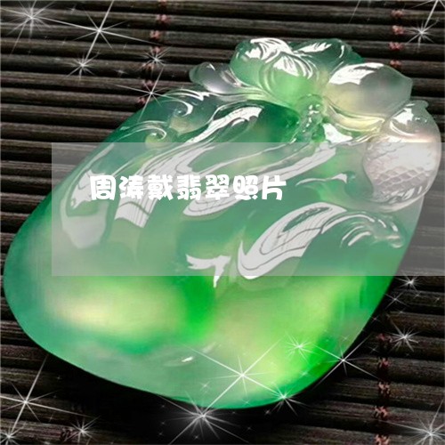 周涛戴翡翠照片/2023040499361