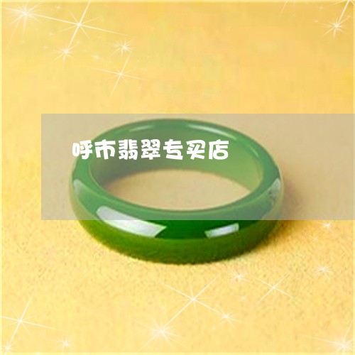 呼市翡翠专买店/2023040418958