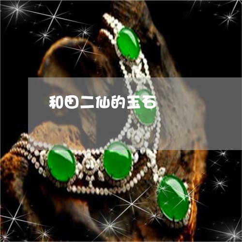和田二仙的玉石/2023040438262 和田二仙的玉石/2023040438262