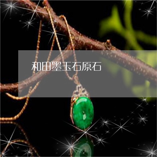 和田墨玉石原石/2023040425717 和田墨玉石原石/2023040425717