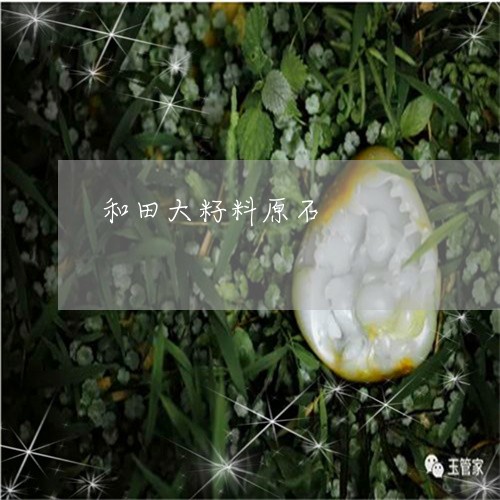 和田大籽料原石/2023040451460 和田大籽料原石/2023040451460