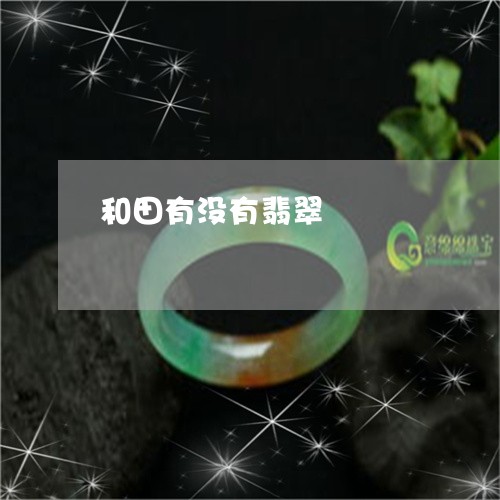 和田有没有翡翠/2023040441362 和田有没有翡翠/2023040441362
