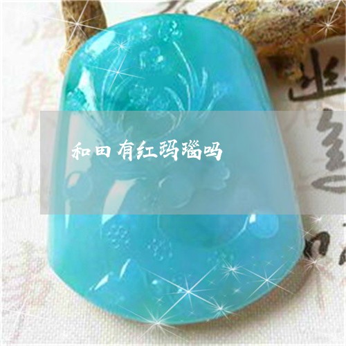 和田有红玛瑙吗/2023040428260 和田有红玛瑙吗/2023040428260