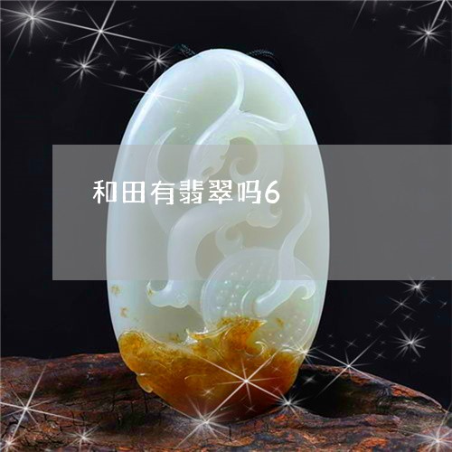 和田有翡翠吗6/2023040484015 和田有翡翠吗6/2023040484015