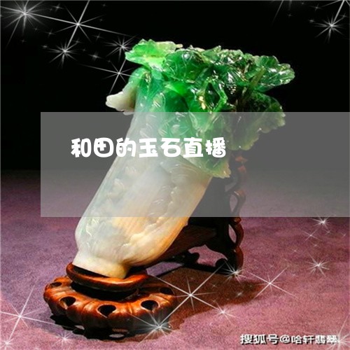 和田的玉石直播/2023040428152 和田的玉石直播/2023040428152