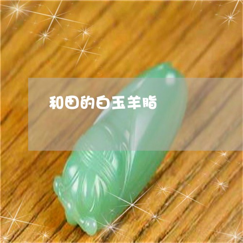 和田的白玉羊脂/2023040474836 和田的白玉羊脂/2023040474836