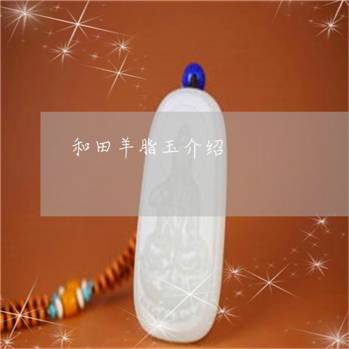 和田羊脂玉介绍/2023040438283