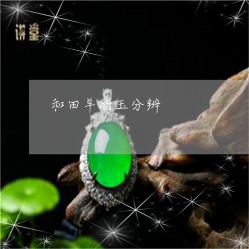 和田羊脂玉分辨/2023040417050