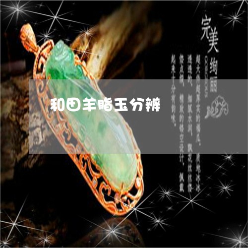 和田羊脂玉分辨/2023040417058