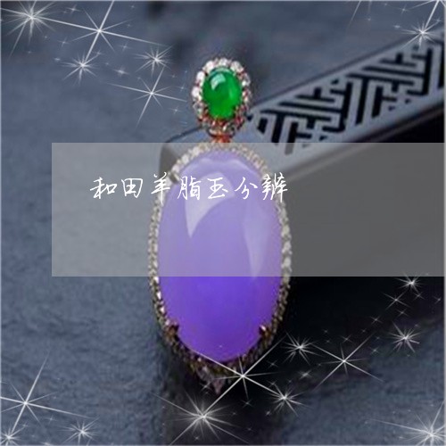和田羊脂玉分辨/2023040484848