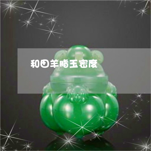 和田羊脂玉密度/2023040464716