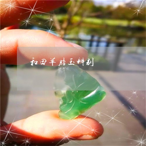 和田羊脂玉辨别/2023040404037