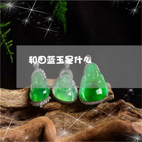 和田蓝玉是什么/2023040422706 和田蓝玉是什么/2023040422706