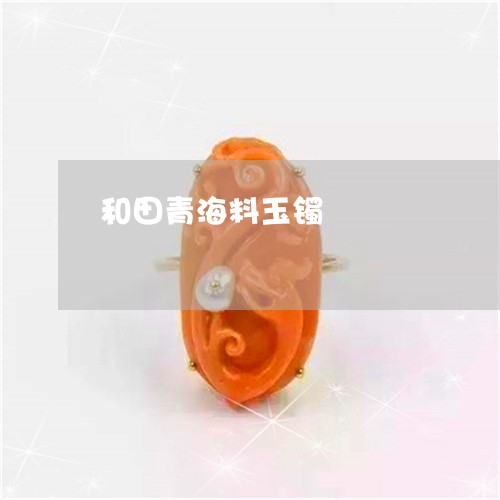 和田青海料玉镯/2023040473038 和田青海料玉镯/2023040473038
