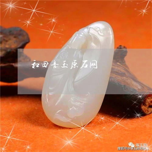 和田青玉原石网/2023040466149 和田青玉原石网/2023040466149