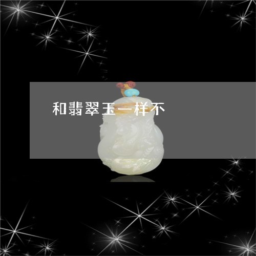 和翡翠玉一样不/2023040446271 和翡翠玉一样不/2023040446271
