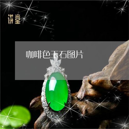 咖啡色玉石图片/2023040453593 咖啡色玉石图片/2023040453593