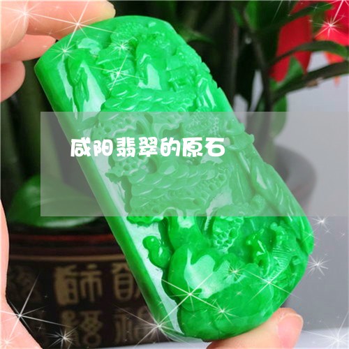 咸阳翡翠的原石/2023040476258