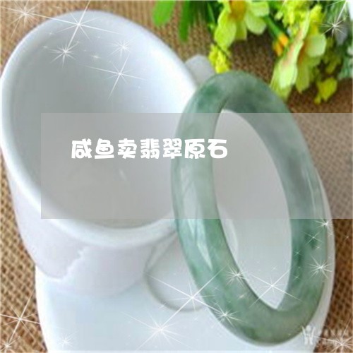 咸鱼卖翡翠原石/2023040448472