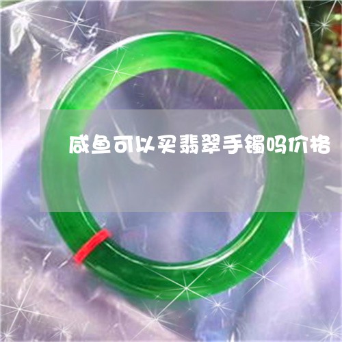 咸鱼可以买翡翠手镯吗价格/2023071199370