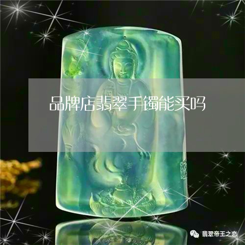 品牌店翡翠手镯能买吗/2023071101836