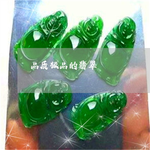 品质极品的翡翠/2023040440502