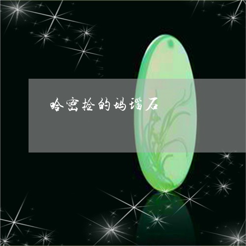 哈密捡的玛瑙石/2023040447260 哈密捡的玛瑙石/2023040447260