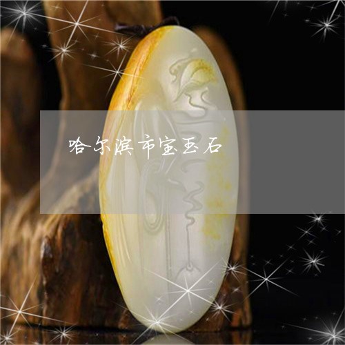 哈尔滨市宝玉石/2023040411304 哈尔滨市宝玉石/2023040411304