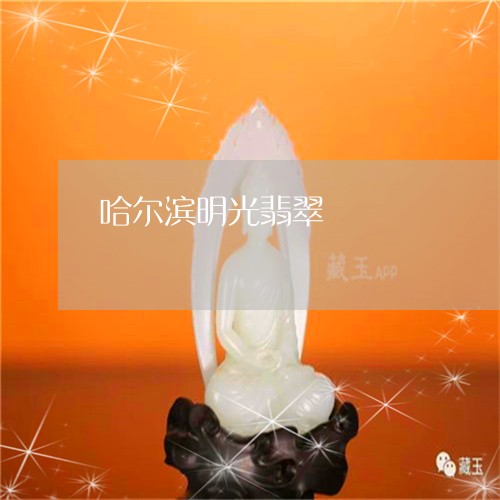 哈尔滨明光翡翠/2023040493938 哈尔滨明光翡翠/2023040493938