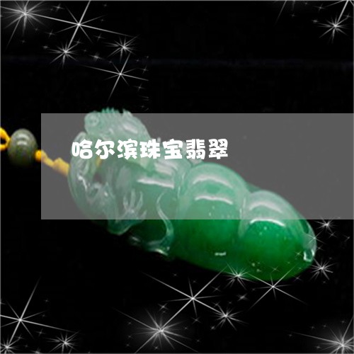 哈尔滨珠宝翡翠/2023040487159 哈尔滨珠宝翡翠/2023040487159