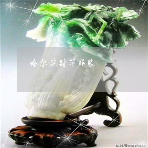 哈尔滨翡翠服装/2023040421683