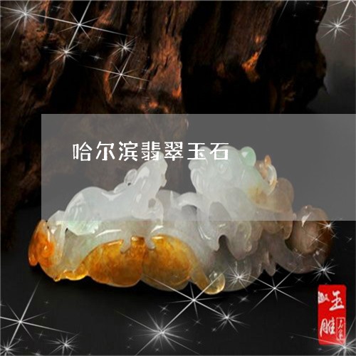 哈尔滨翡翠玉石/2023040474928