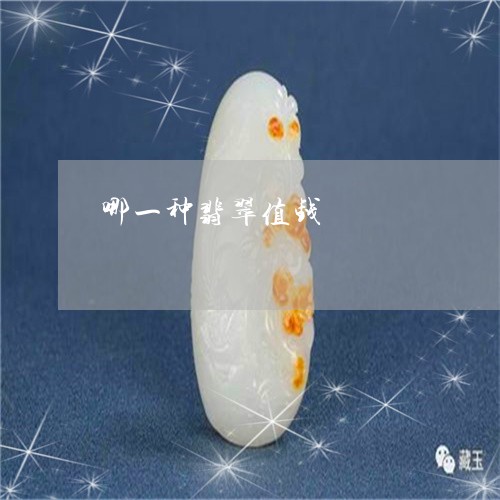 哪一种翡翠值钱/2023040460594