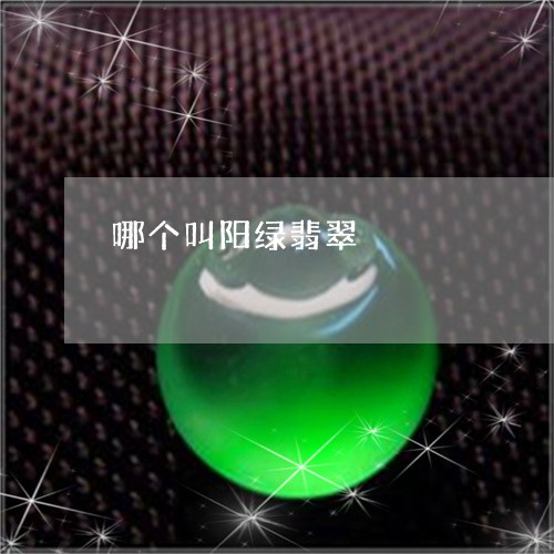 哪个叫阳绿翡翠/2023040449604