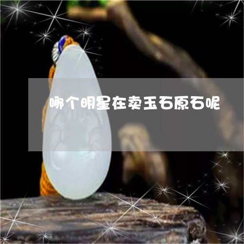 哪个明星在卖玉石原石呢/2023061975259