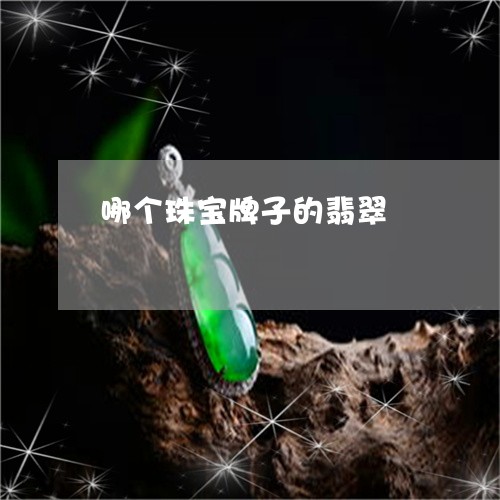 哪个珠宝牌子的翡翠/2023042206147