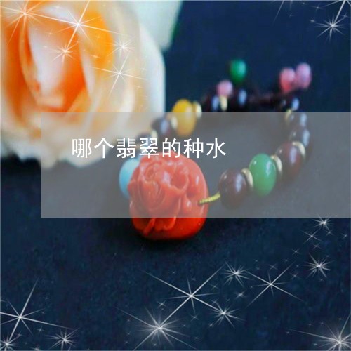 哪个翡翠的种水/2023040432683 哪个翡翠的种水/2023040432683