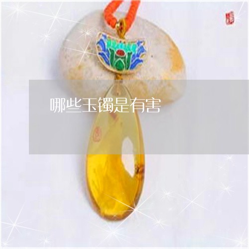 哪些玉镯是有害/2023040347462 哪些玉镯是有害/2023040347462