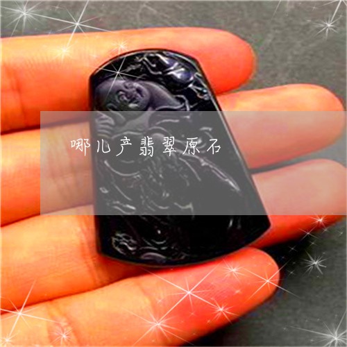 哪儿产翡翠原石/2023040307269