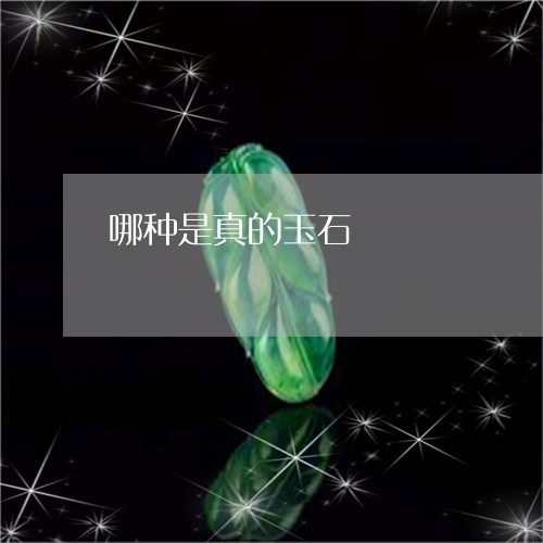 哪种是真的玉石/2023040328159 哪种是真的玉石/2023040328159