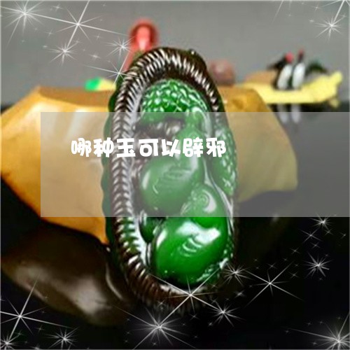 哪种玉可以辟邪/2023040340371 哪种玉可以辟邪/2023040340371