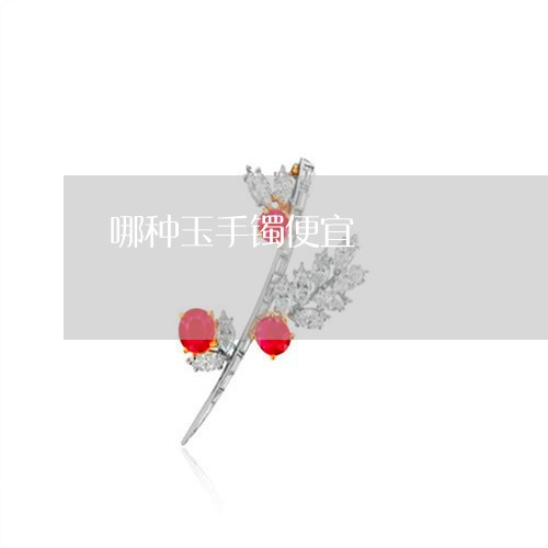 哪种玉手镯便宜/2023040349260 哪种玉手镯便宜/2023040349260