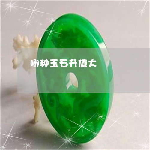 哪种玉石升值大/2023040347360 哪种玉石升值大/2023040347360