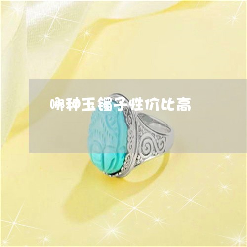 哪种玉镯子性价比高/2023042369214