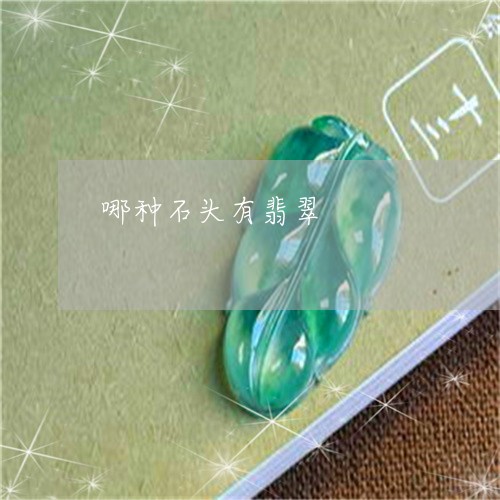 哪种石头有翡翠/2023040329583 哪种石头有翡翠/2023040329583
