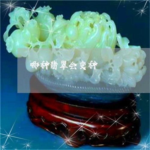 哪种翡翠会变种/2023040307047