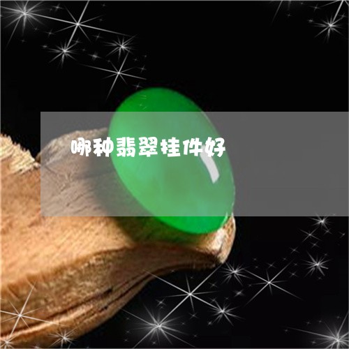 哪种翡翠挂件好/2023040383814