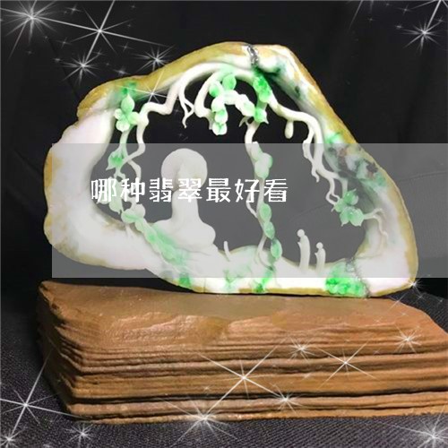 哪种翡翠最好看/2023040374928